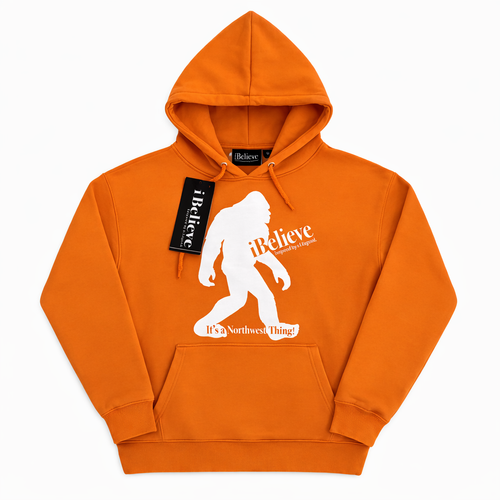 iBelieve Heritage Hoodies